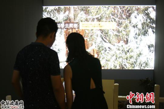 百余幅美国国家地理学会摄影经典作品亮相青岛  收藏资讯