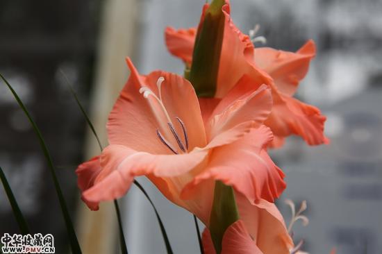 开幕式现场照片 (3)