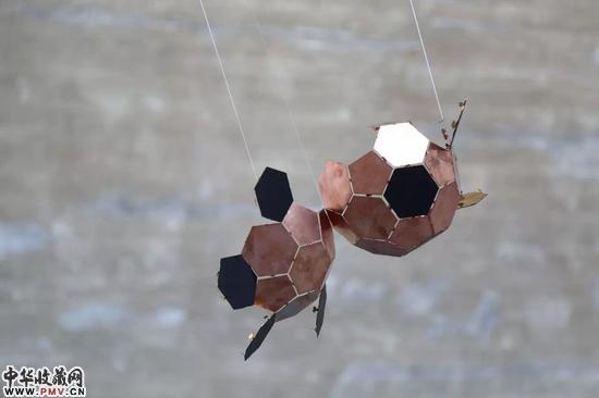 代化，中国足球：熊猫，2016