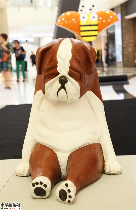 寇荆招《艺考动物》 (1)