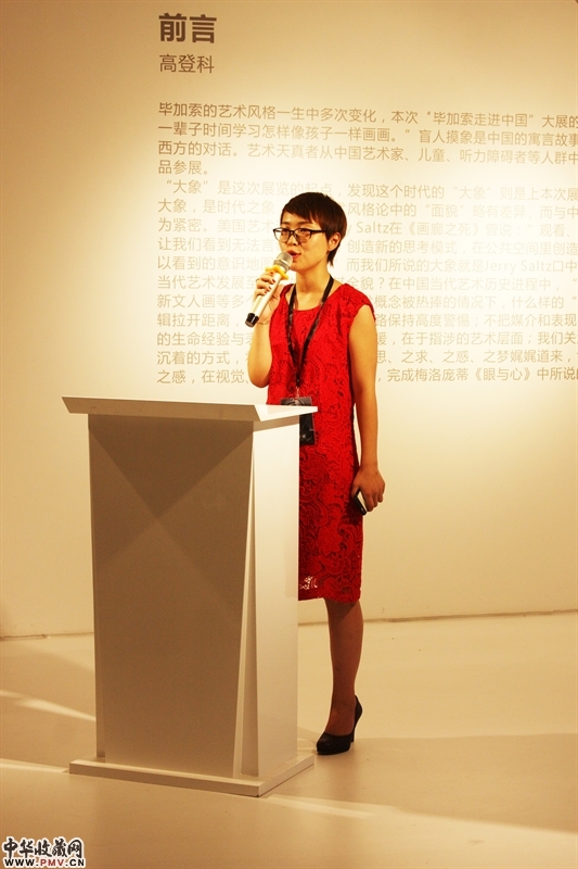 山水美术馆馆长孙越开幕式致辞