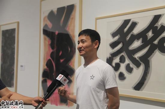 策展人杨卫接受凤凰网采访