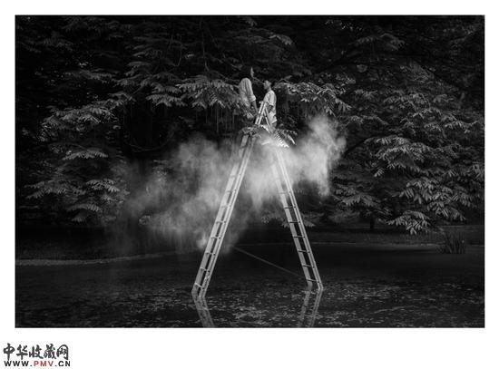 11图十一徐潇晗 《Jungle系列》，尺寸可变，数码黑白打印，2016