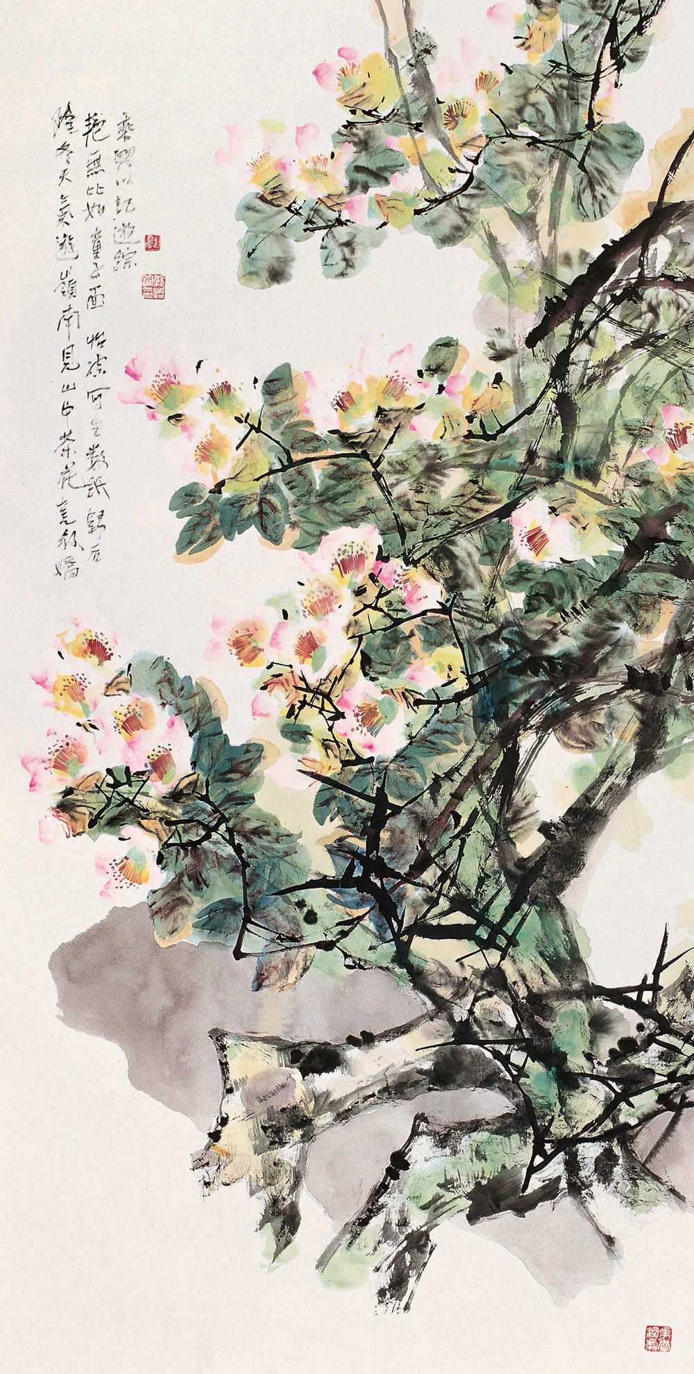 山茶花 镜心 