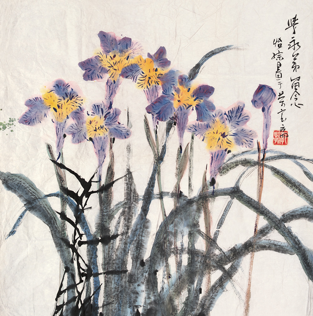 花卉 镜心 