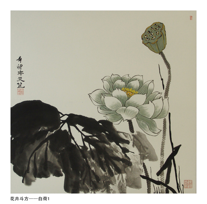 花卉斗方-白荷1
