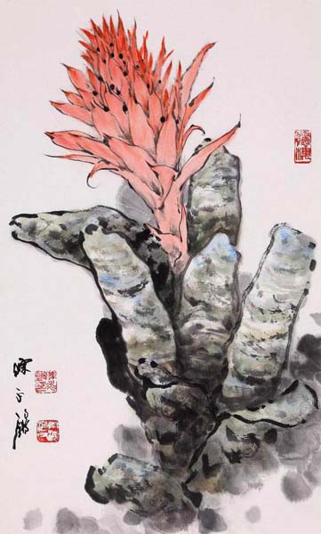凤梨花