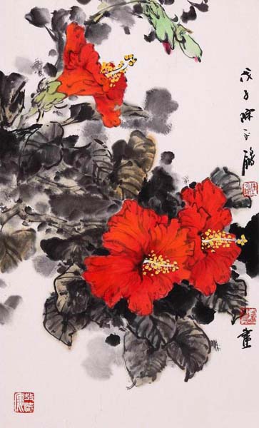 扶桑花