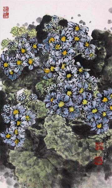 瓜叶菊