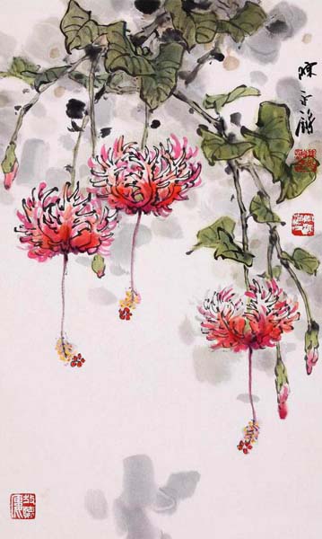 灯笼花