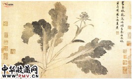 明沈周　辛夷墨菜图（１）