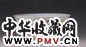 清同治 粉彩龙凤碗