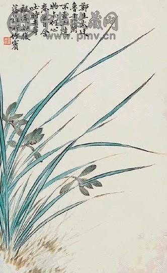 沈焯 兰花 立轴 设色纸本