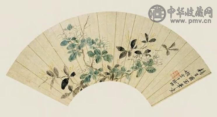 清 殷树柏 花卉 扇面