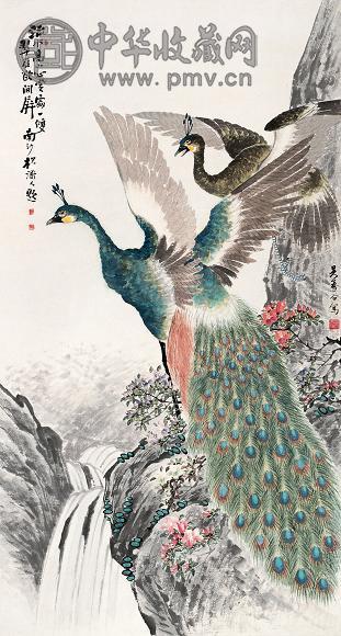 吴寿谷 孔雀图 立轴 设色纸本