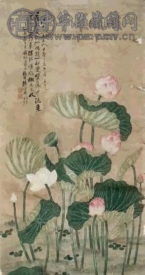 张绍麟 荷花 镜心 纸本