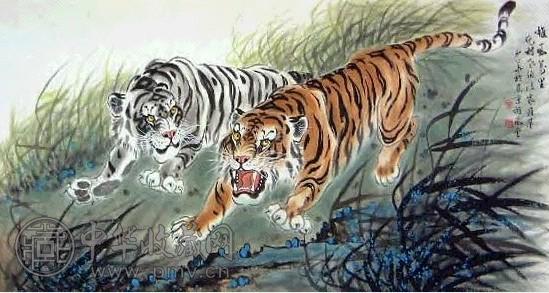 姚少华 双虎 镜心 设色纸本