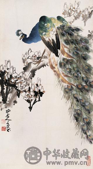 石愚 孔雀 立轴 纸本