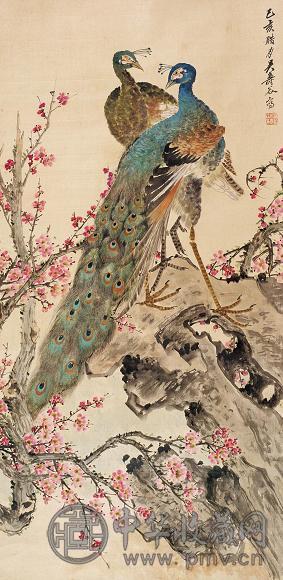 吴寿谷 孔雀 立轴 设色绢本