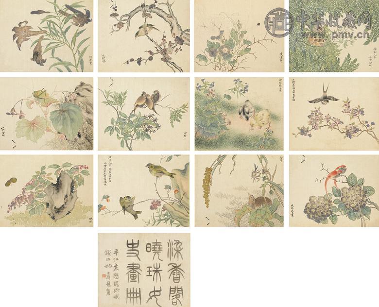 金玥 花鸟册页 设色纸本