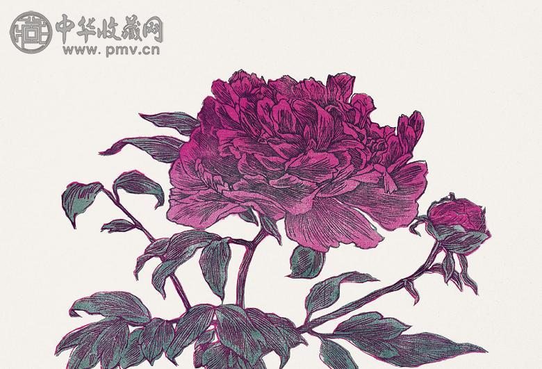 杨春华 1999年 红牡丹 纸本 水印版画