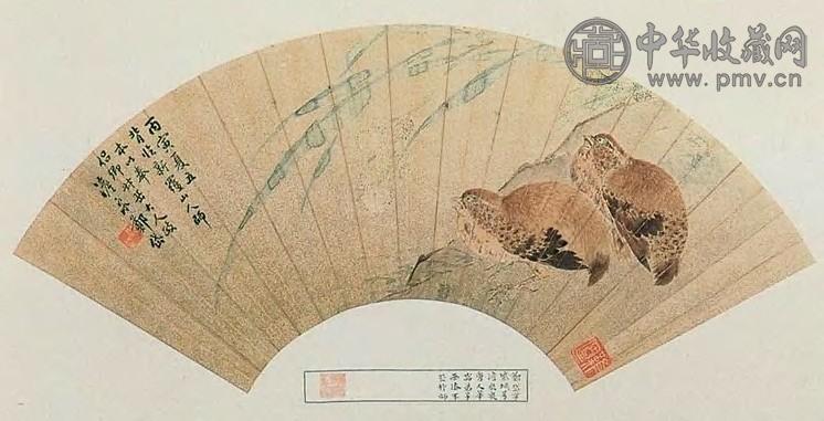 郑岱 双鸟 扇面 设色金笺