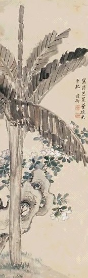 殷树柏 花卉 片