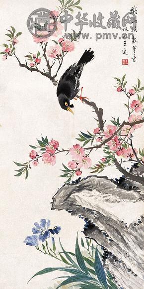 王道 花鸟 立轴 设色纸本