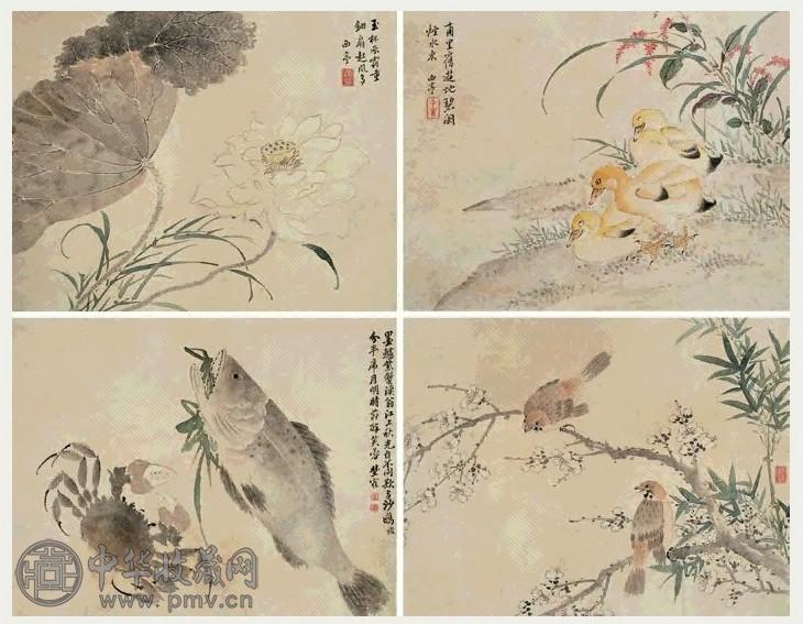 杨晋 1713年作 鱼虫花鸟图册 册页(12开) 设色纸本