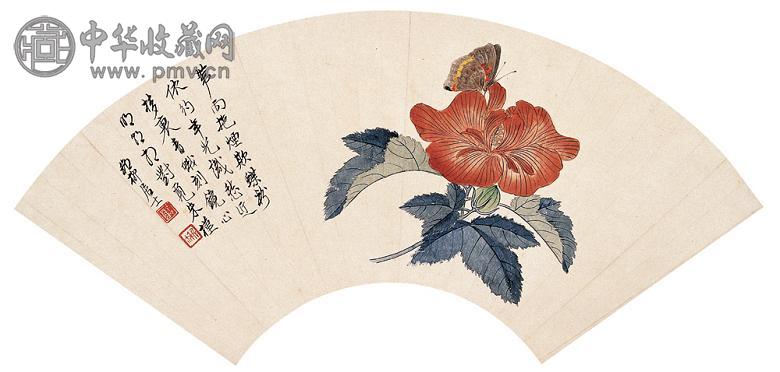 谢稚柳 朱槿花蝶 扇面 设色纸本
