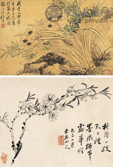 张子祥等 水仙 镜心(4开选2) 纸本