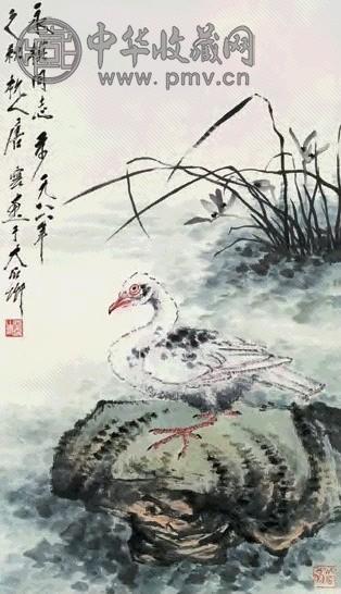 唐云 1988年作 鸽子 镜心 设色纸本