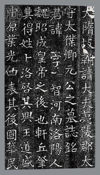 隋故太仆卿元公夫人姬氏墓志