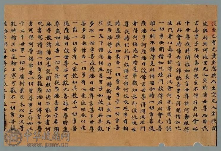 僧伽咤经存卷第一