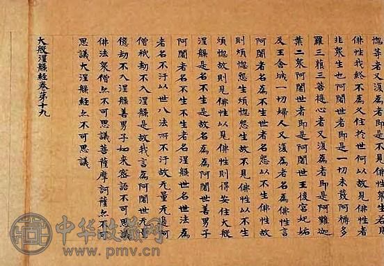 唐 大般涅槃经残卷
