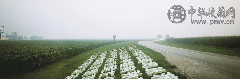 陈秋林 豆腐百家姓 图片