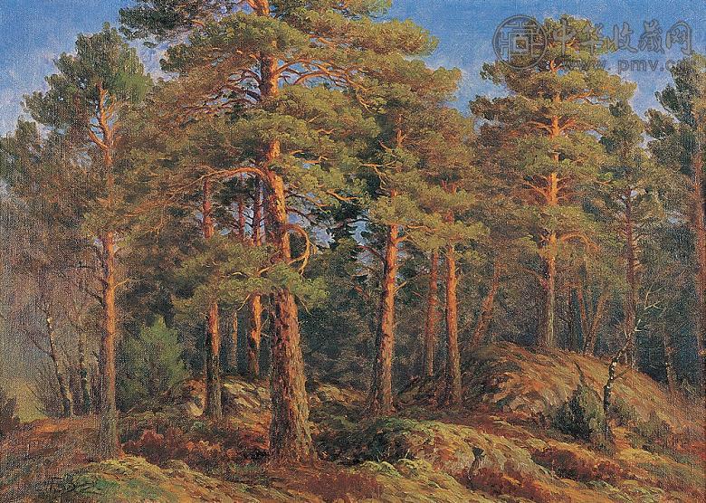 佚名 森林 布面油彩