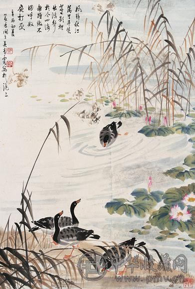 吴青霞 1981年作 荷塘芦雁 立轴 设色纸本