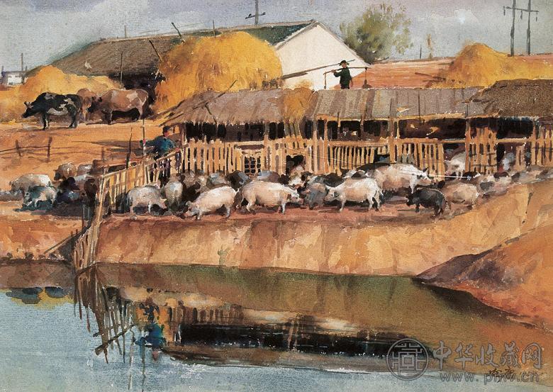 钱延康 1959年作 养猪场 纸上 水彩