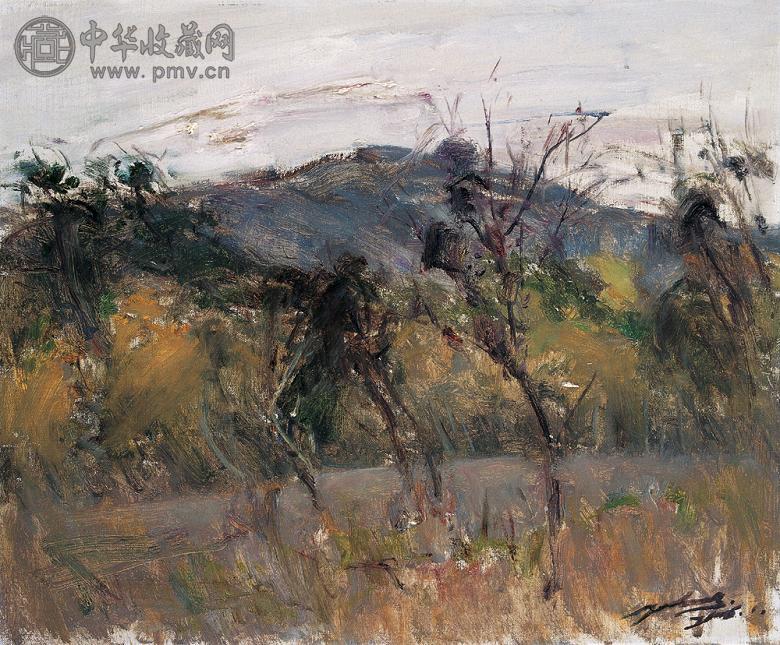 韩玉龙 2006年 山野 布面 油画