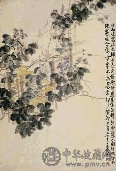 吴昌硕 1903年 紫藤 立轴 设色纸本