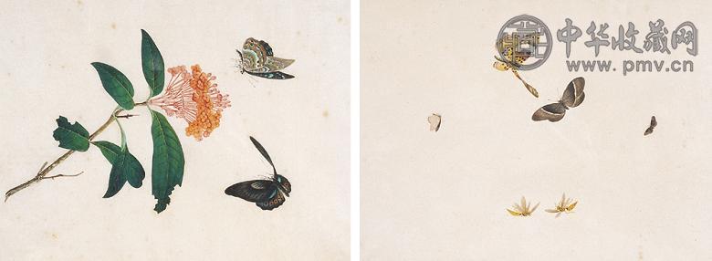 清中期 外销米纸画花蝶(1对)