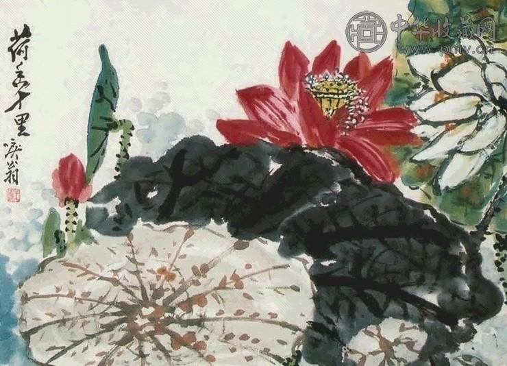 王鹤 荷花 镜心 纸本