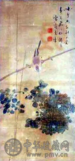 王雪涛 花鸟 镜心 设色纸本