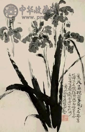 程十发 鸢尾花开 立轴 水墨纸本