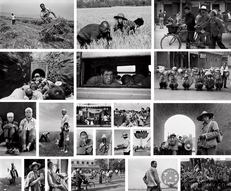 侯登科 《麦客》