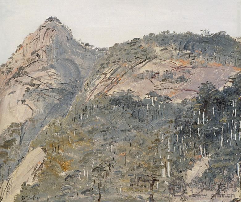 张冬峰 黄山松 布面 油彩