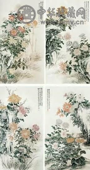 顾伯达 菊花 四屏 设色纸本