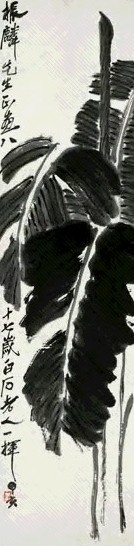 近现代 齐白石 芭蕉 轴