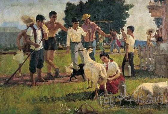 古月 红领巾农场